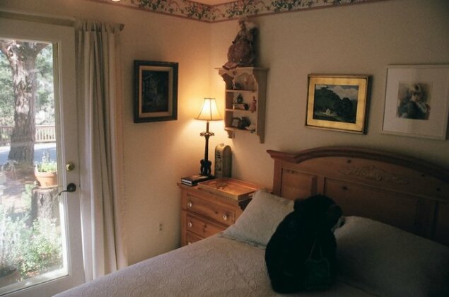 Dreydon House Bed and Breakfast - Photo3