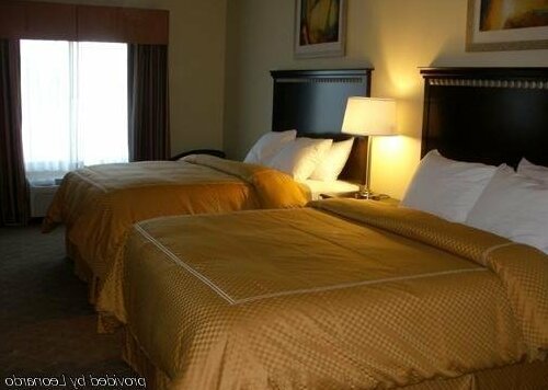 Comfort Inn & Suites Carbondale Illinois - Photo3