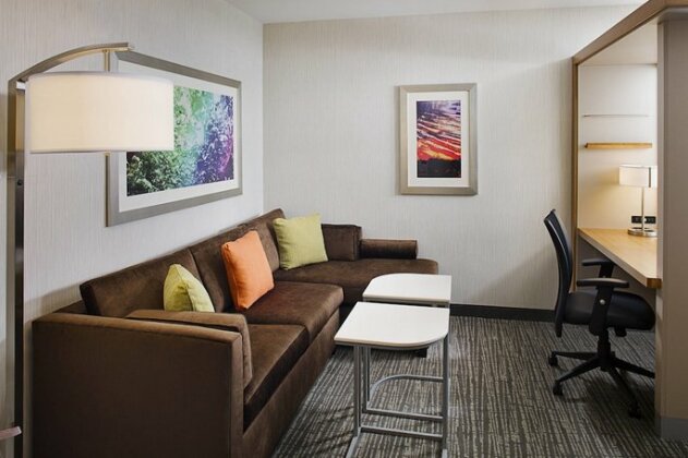SpringHill Suites by Marriott Carle Place Garden City - Photo5