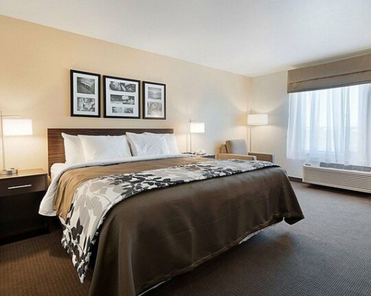 Sleep Inn & Suites Carlsbad - Photo2