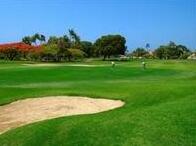 Francisco Grande & Golf Resort - Photo4