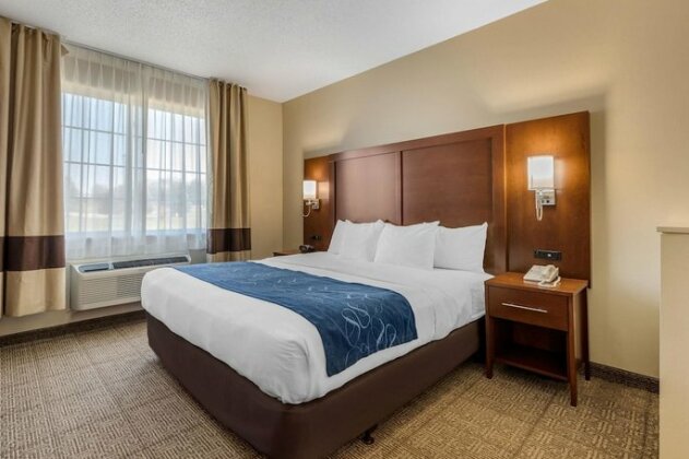 Comfort Suites Cedar Falls - Photo3