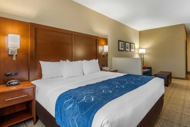 Comfort Suites Cedar Falls - Photo4