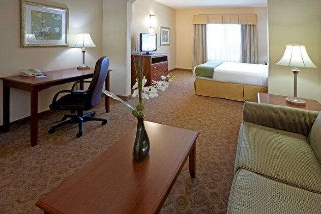 Holiday Inn Express Hotel & Suites Cedar Hill - Photo2