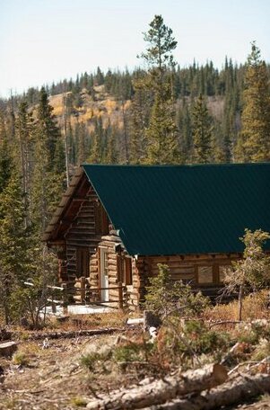 Snowy Mountain Lodge - Photo5