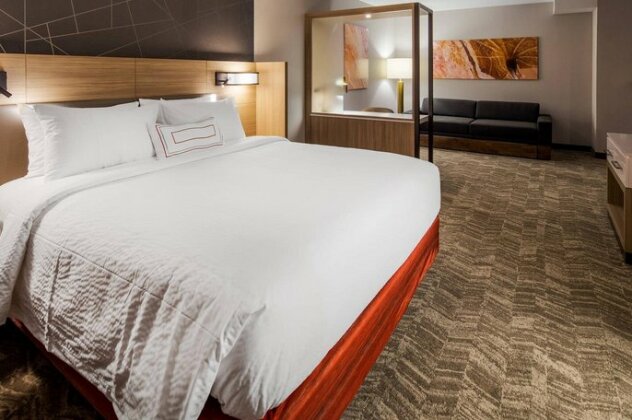 SpringHill Suites by Marriott Chambersburg - Photo3