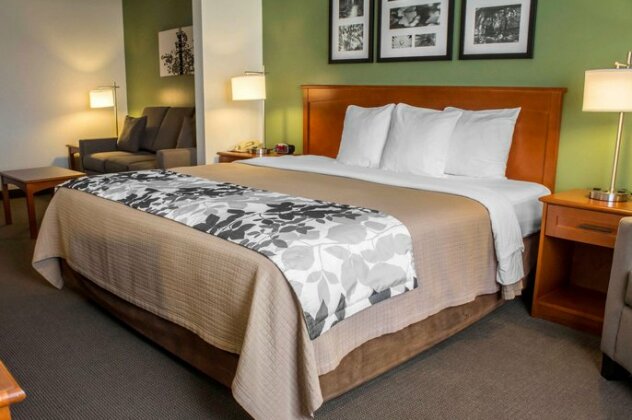Sleep Inn & Suites Charles City - Photo2