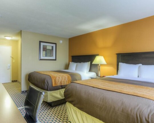 Quality Inn and Suites Chattanooga - Photo3