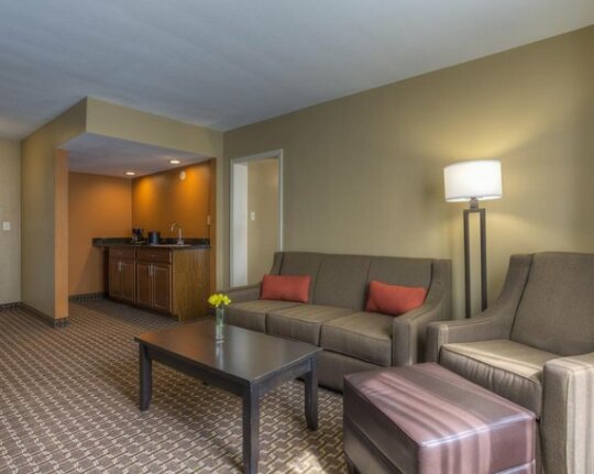 Quality Inn and Suites Chattanooga - Photo4