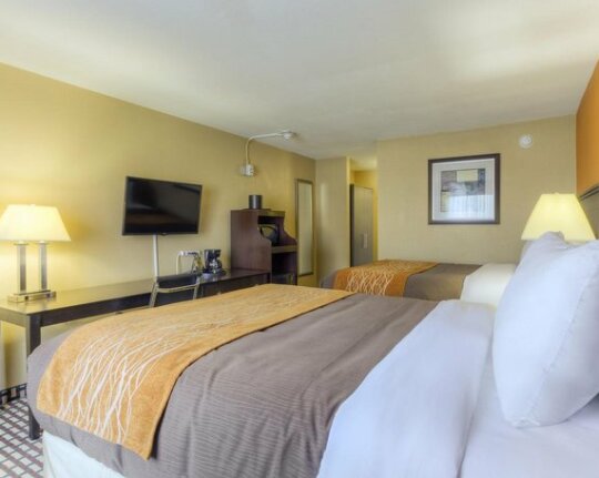 Quality Inn and Suites Chattanooga - Photo5