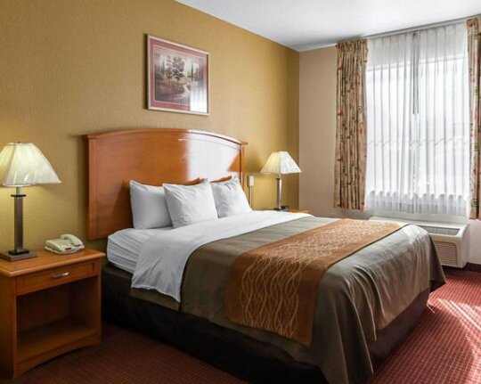 Comfort Inn & Suites Chesapeake - Photo2
