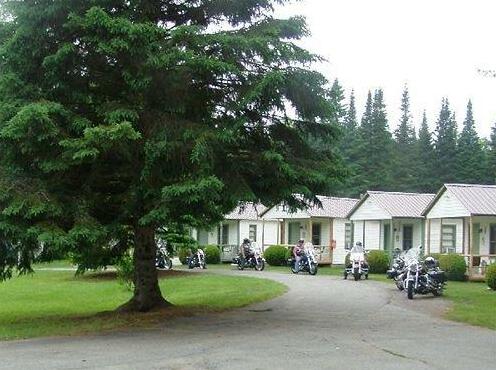 Pine Tree Motel & Cabins