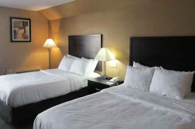 Quality Inn & Suites Cincinnati Ohio - Photo5