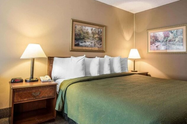 Quality Inn & Suites Mount Chalet - Photo2