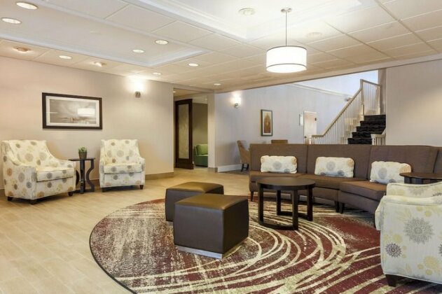 Homewood Suites By Hilton St Petersburg Clearwater - Photo2