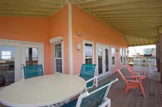 288rd-Sanddollar - Photo2