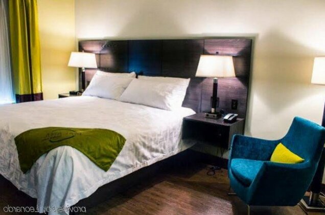 Malana Hotels & Suites - Photo4