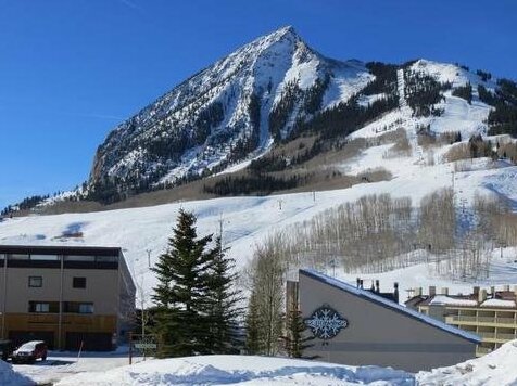 Snowcrest by Crested Butte Lodging - Photo2