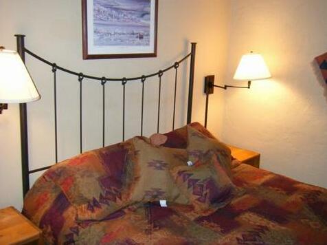 Snowcrest by Crested Butte Lodging - Photo3