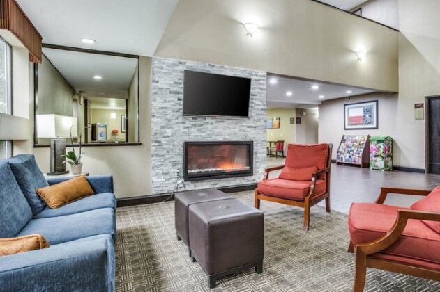 Comfort Inn & Suites Love Field - Dallas Market Center - Photo5