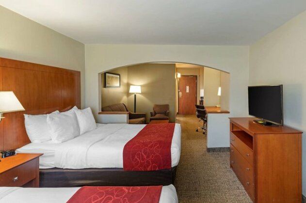 Comfort Suites North Dallas - Photo5