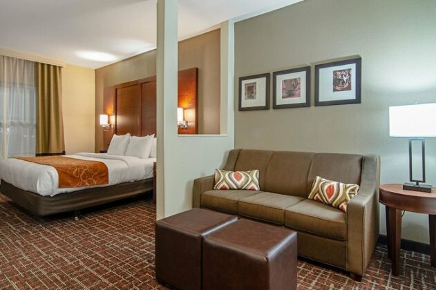 Comfort Suites NW Dallas Near Love Field - Photo5