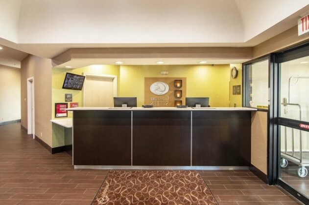 Holiday Inn Express Hotel & Suites Dallas/Stemmons Fwy I-35 - Photo4