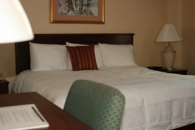 Maron Hotel & Suites - Photo5