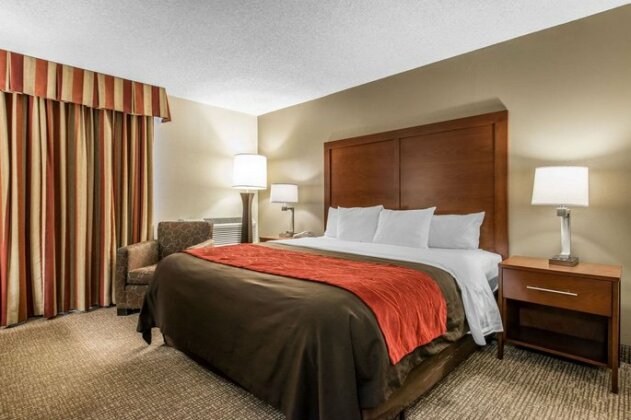 Comfort Inn & Suites Denver - Photo2