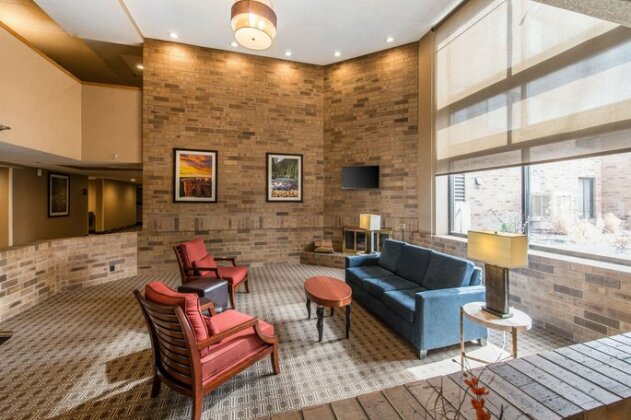 Comfort Inn & Suites Denver - Photo4
