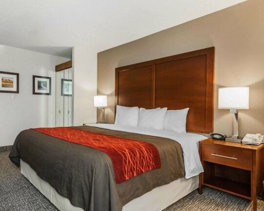 Rodeway Inn & Suites Denver - Photo2