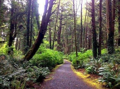 Inn at Otter Crest - Photo3