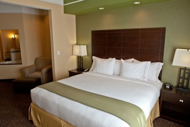 Holiday Inn Express Hotel & Suites Lansing-Dimondale - Photo5
