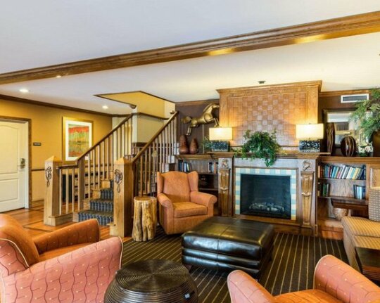 Comfort Inn & Suites Dover - Photo4