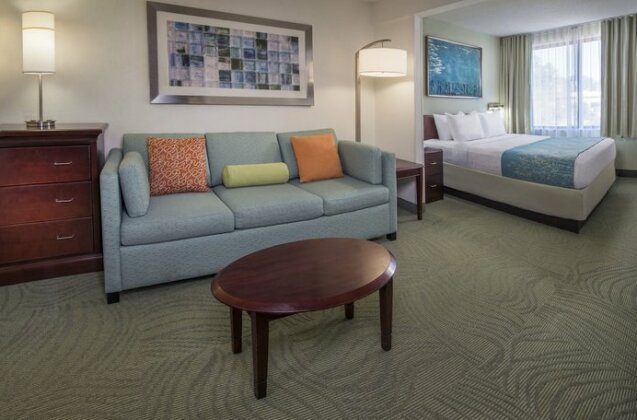 SpringHill Suites Raleigh-Durham Airport/Research Triangle Park - Photo5
