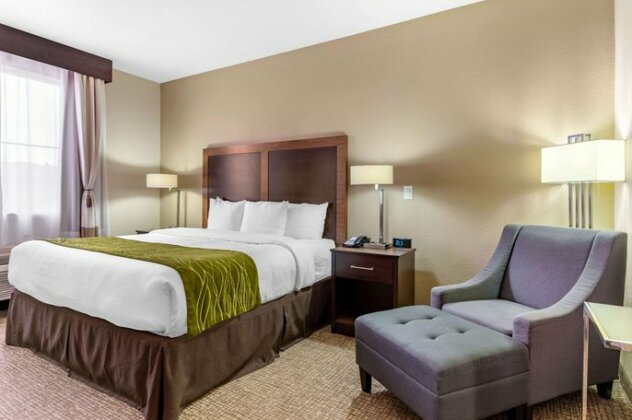 Comfort Inn & Suites Lakeside - Photo3