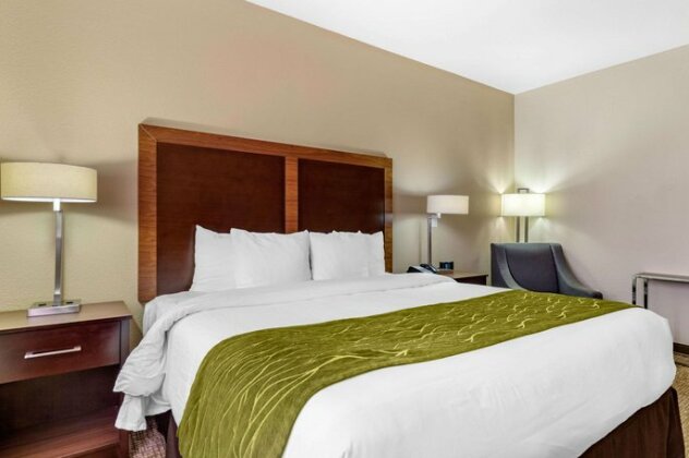 Comfort Inn & Suites Lakeside - Photo5