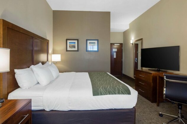 Comfort Inn & Suites Edgewood - Photo5