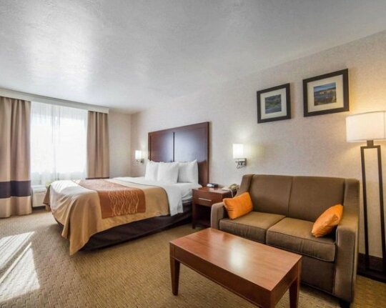 Comfort Inn Elko - Photo2