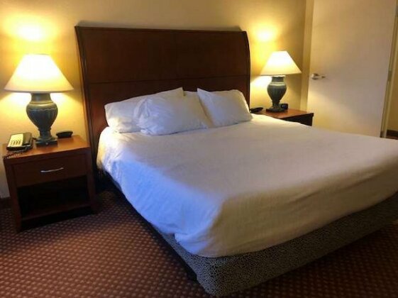 Hilton Garden Inn - Elko - Photo3