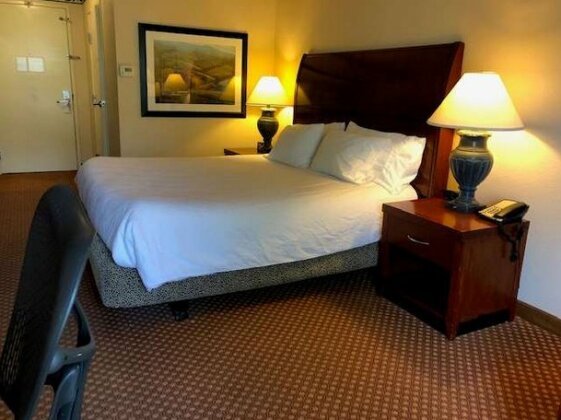 Hilton Garden Inn - Elko - Photo5
