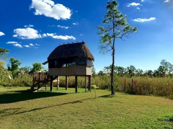 Everglades Chickee Cottage & Bungalow - Ochopee - Photo5