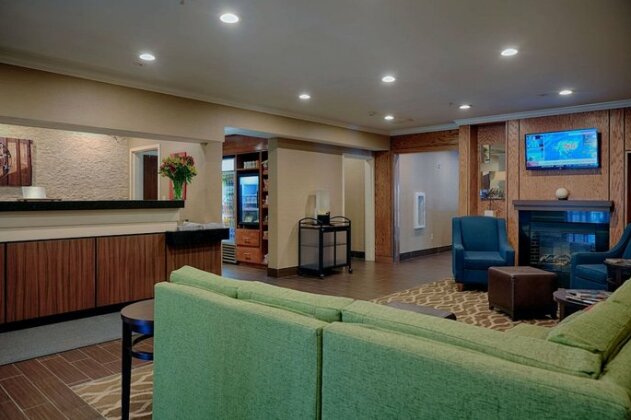 Comfort Inn & Suites Dallas-Addison - Photo3