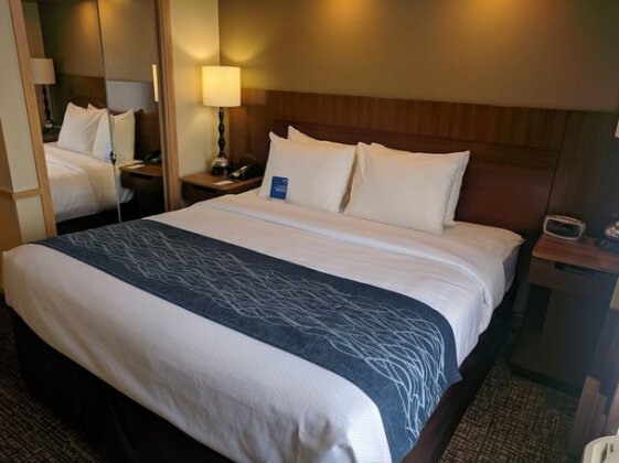 Comfort Inn & Suites Dallas-Addison - Photo5