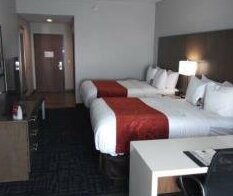 Comfort Inn & Suites Dania Beach Fort Lauderdale - Photo2