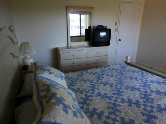 Ocean Village Coral Cluster 1212 - Photo3