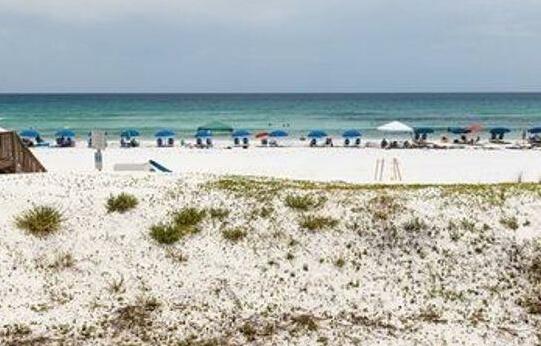 Gulfside 203 - Photo2