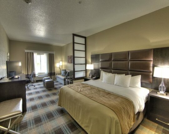 Comfort Inn & Suites Fort Worth - Photo2