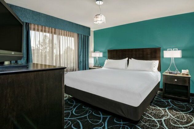 Holiday Inn Express Hotel and Suites Fort Worth/I-20 - Photo5