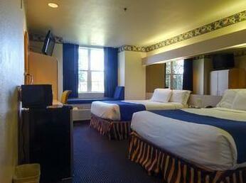 Microtel Inn & Suites Fort Worth South - Photo3